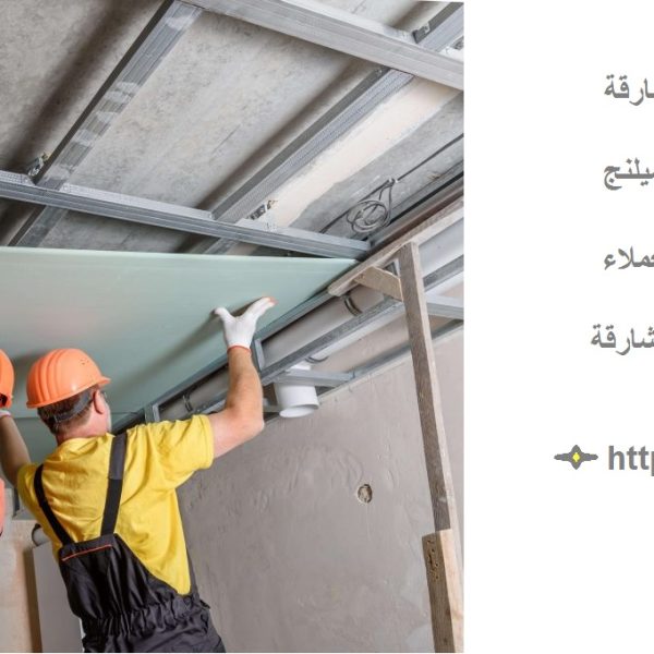 أفضل شركة تركيب فورسيلنج في الشارقة